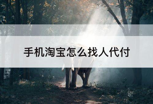 手机淘宝怎么找人代付