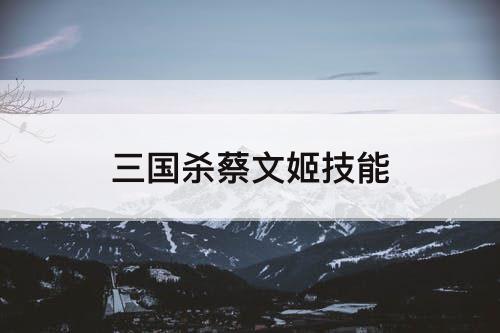 三国杀蔡文姬技能