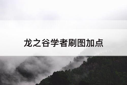 龙之谷学者刷图加点