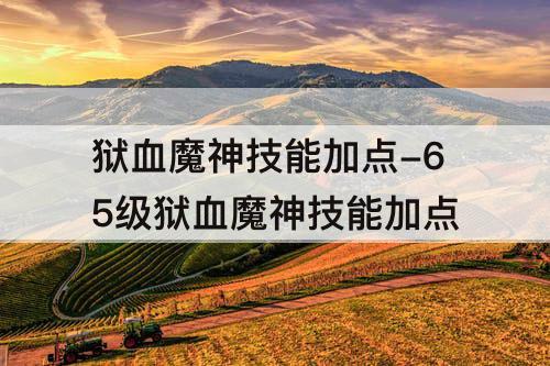 狱血魔神技能加点-65级狱血魔神技能加点