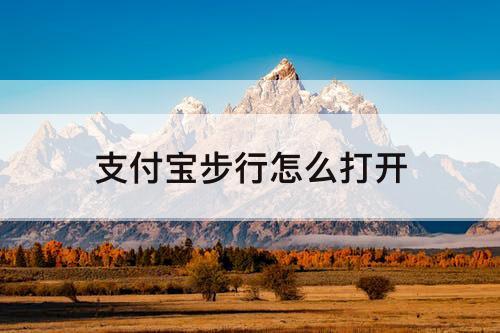 支付宝步行怎么打开