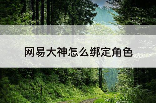 网易大神怎么绑定角色