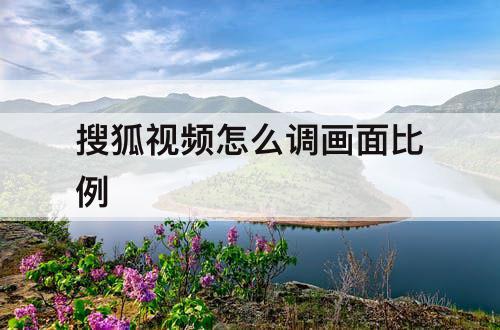 搜狐视频怎么调画面比例