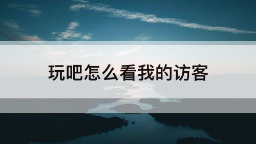 玩吧怎么看我的访客