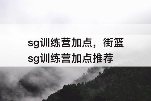 sg训练营加点，街篮sg训练营加点推荐