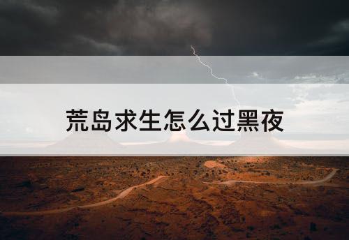 荒岛求生怎么过黑夜