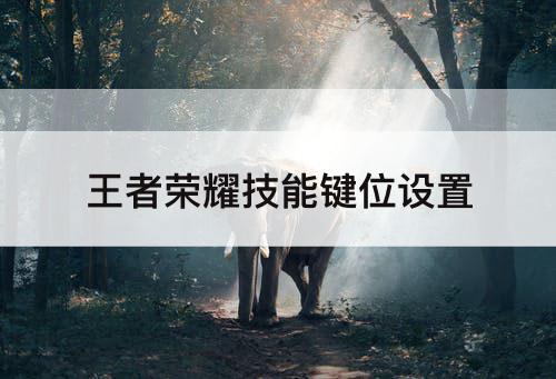 王者荣耀技能键位设置