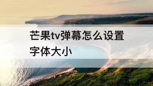芒果tv弹幕怎么设置字体大小