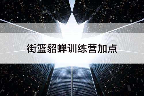 街篮貂蝉训练营加点