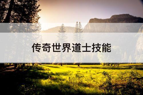 传奇世界道士技能