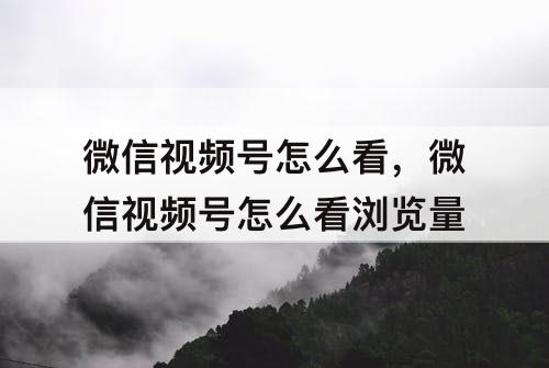 微信视频号怎么看，微信视频号怎么看浏览量
