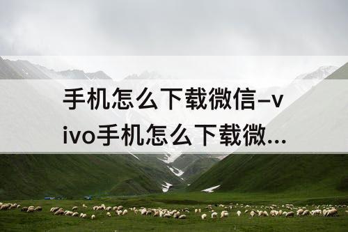 手机怎么下载微信-vivo手机怎么下载微信分身