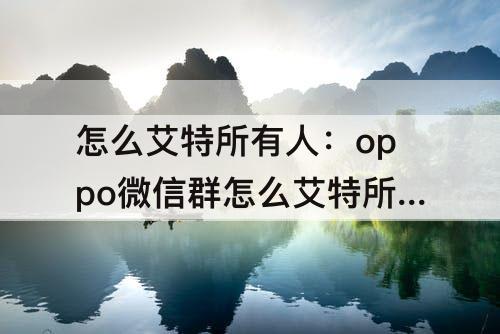 怎么艾特所有人：oppo微信群怎么艾特所有人
