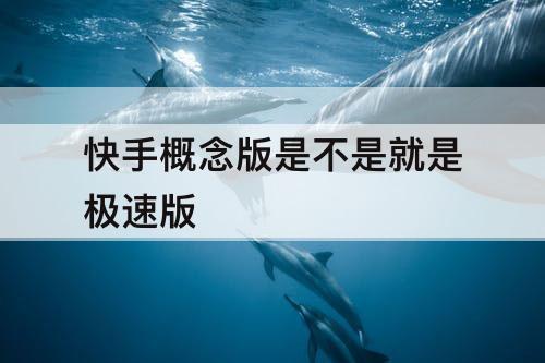 快手概念版是不是就是极速版