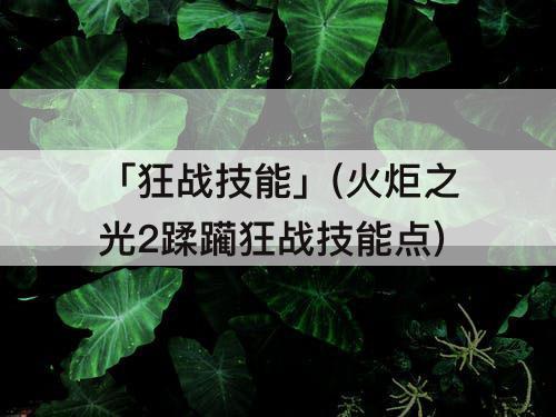 「狂战技能」(火炬之光2蹂躏狂战技能点)