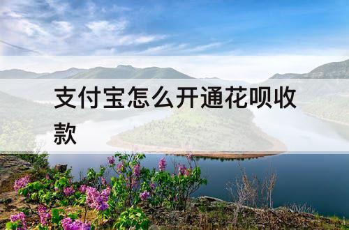 支付宝怎么开通花呗收款