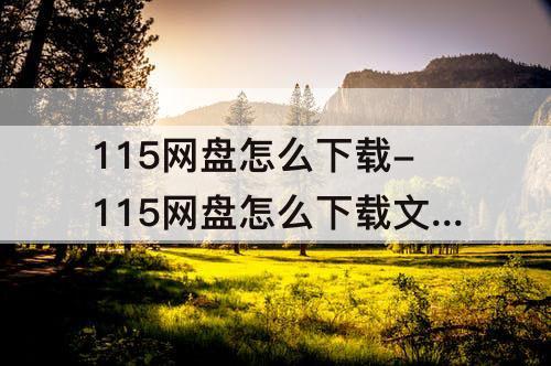 115网盘怎么下载-115网盘怎么下载文件