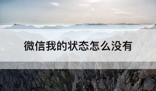 微信我的状态怎么没有