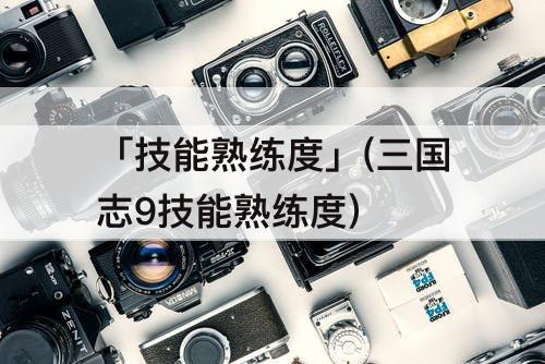 「技能熟练度」(三国志9技能熟练度)
