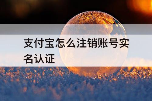 支付宝怎么注销账号实名认证