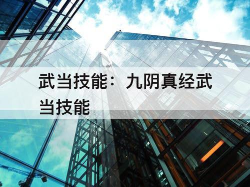武当技能：九阴真经武当技能