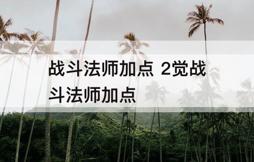 战斗法师加点 2觉战斗法师加点