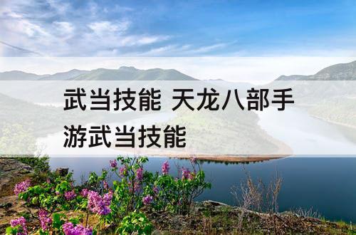 武当技能 天龙八部手游武当技能
