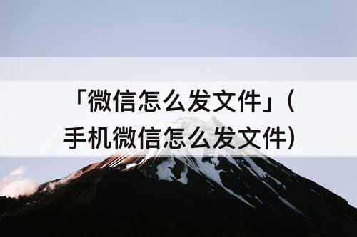 「微信怎么发文件」(手机微信怎么发文件)