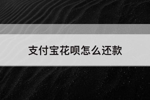 支付宝花呗怎么还款