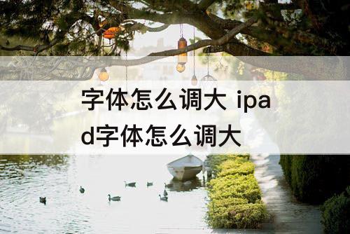 字体怎么调大 ipad字体怎么调大