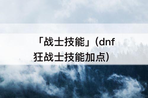 「战士技能」(dnf狂战士技能加点)