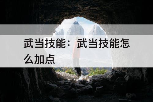 武当技能：武当技能怎么加点