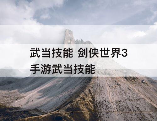 武当技能 剑侠世界3手游武当技能