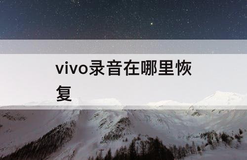 vivo录音在哪里恢复