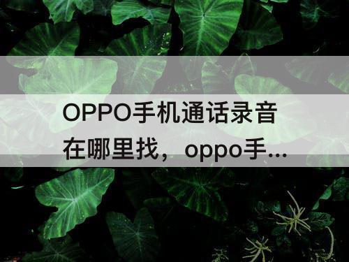 OPPO手机通话录音在哪里找，oppo手机通话录音在哪里找得到录音里面没有