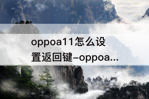 oppoa11怎么设置返回键-oppoa11怎么设置返回键图标