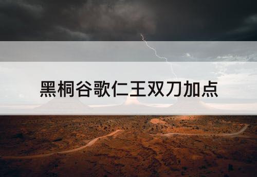 黑桐谷歌仁王双刀加点