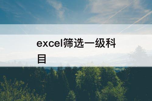excel筛选一级科目