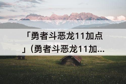 「勇者斗恶龙11加点」(勇者斗恶龙11加点图)