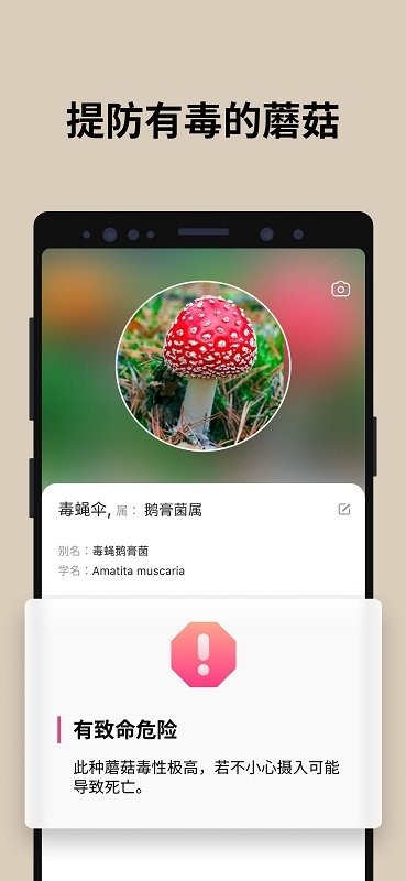 蘑菇识别安卓版  v2.8.13图2