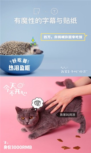 猫饼2022  v2.0.0图1