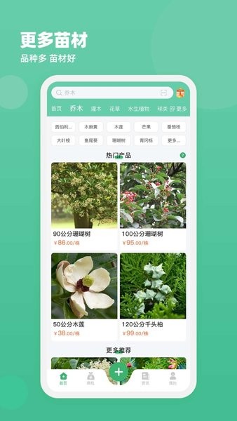 苗材好  v2.520.886图1