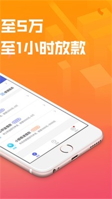 达飞贷款安卓版  v2.9图2