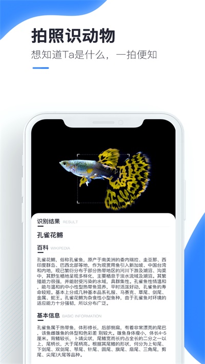 百科扫描王最新版下载免费安装苹果  v1.0.0图1