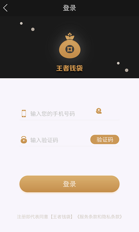 王者钱袋app下载安装  v1.0图2