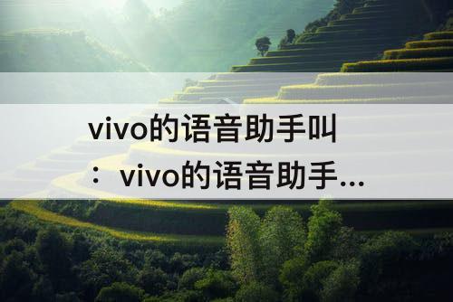 vivo的语音助手叫：vivo的语音助手叫什么怎么打开