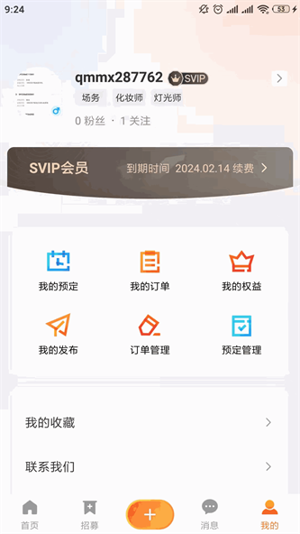 粉色苏州晶体结构iso  v13.9.00图1