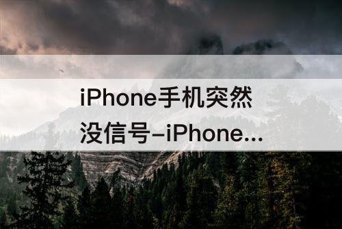 iPhone手机突然没信号-iPhone手机突然没信号需警惕